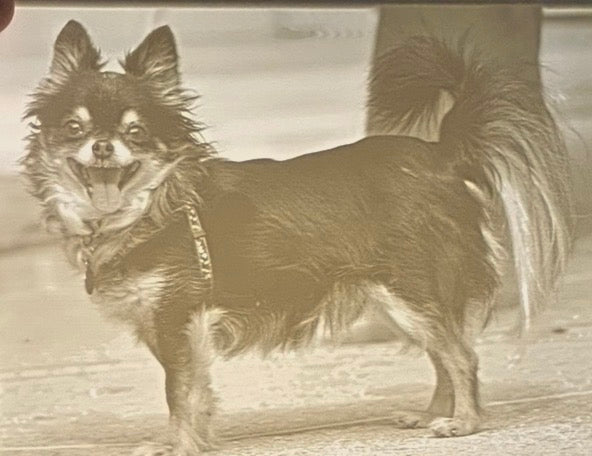 Lithography Replacement Picture 5.75 x 4.25