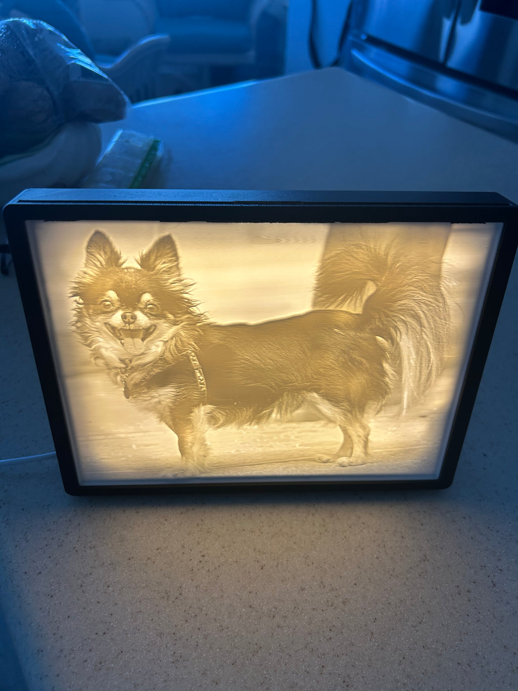 Lithophane