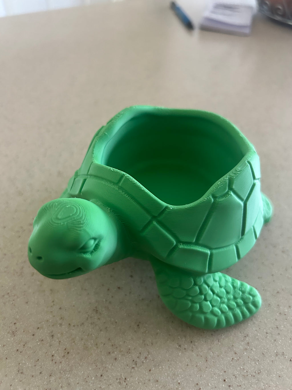 Sea Turtle Bowl