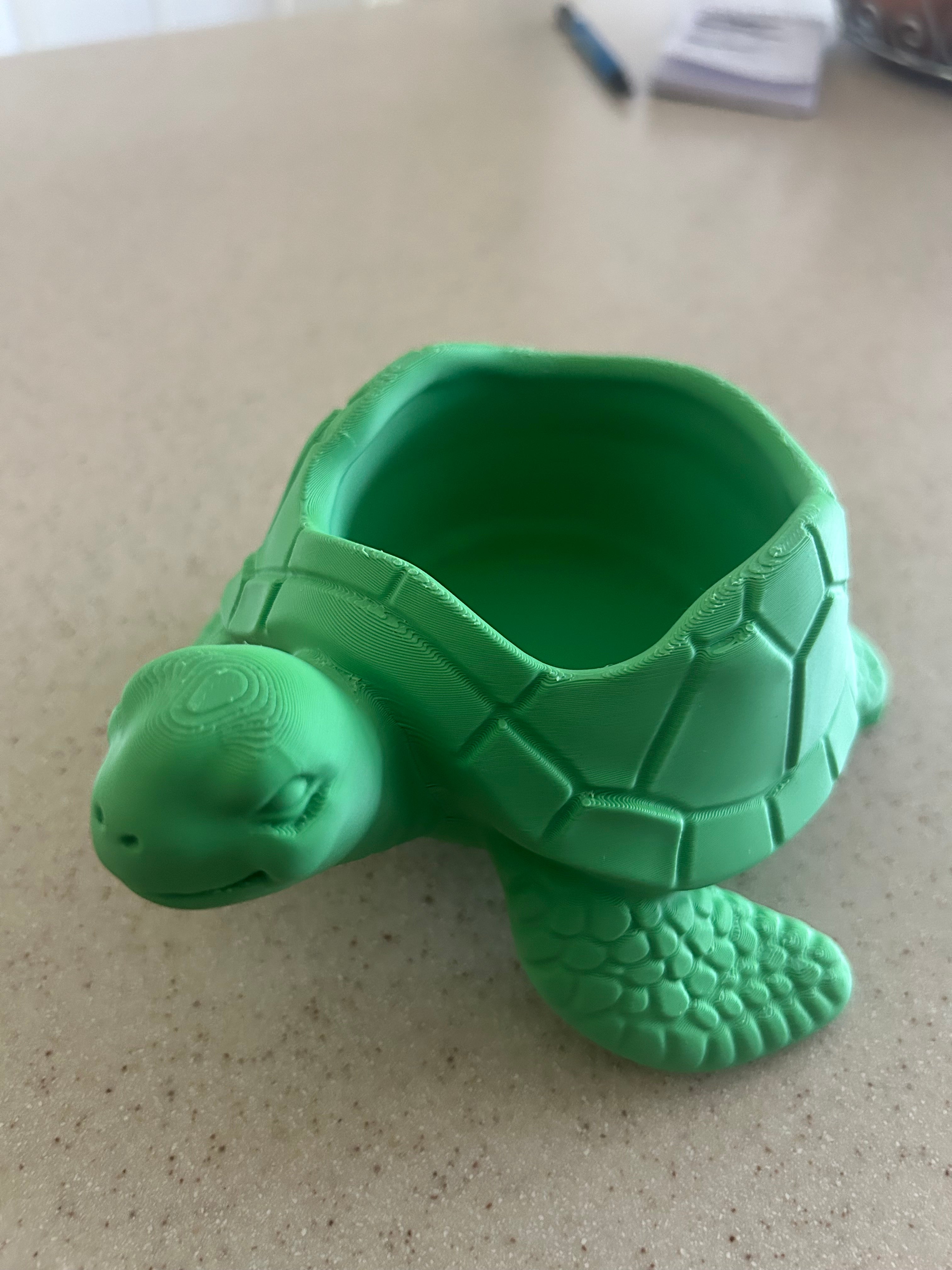 Sea Turtle Bowl