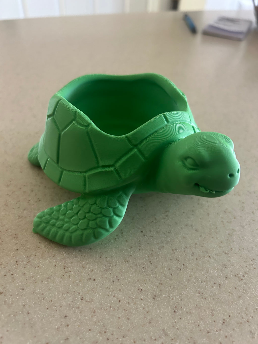 Sea Turtle Bowl