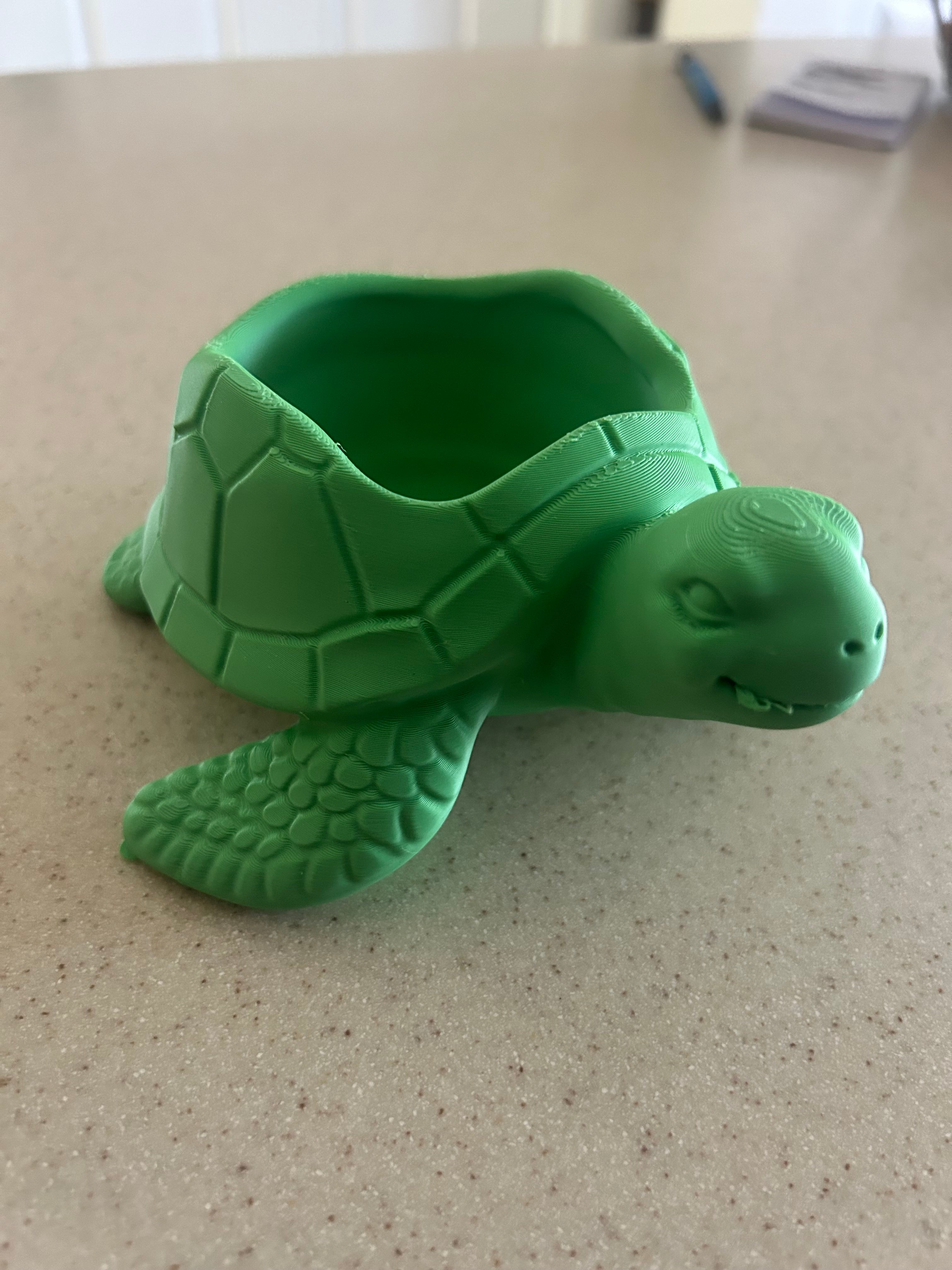 Sea Turtle Bowl